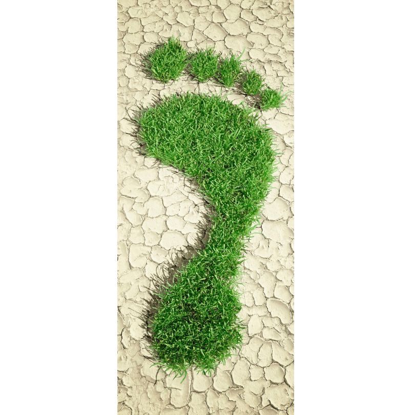 Grüner Fußabdruck aus Gras