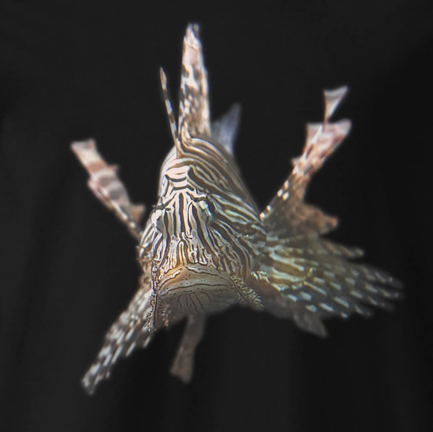 ein Damen T-Shirt mit Fisch-Motiv eines Feuerfisches als Fotodruck im Detail