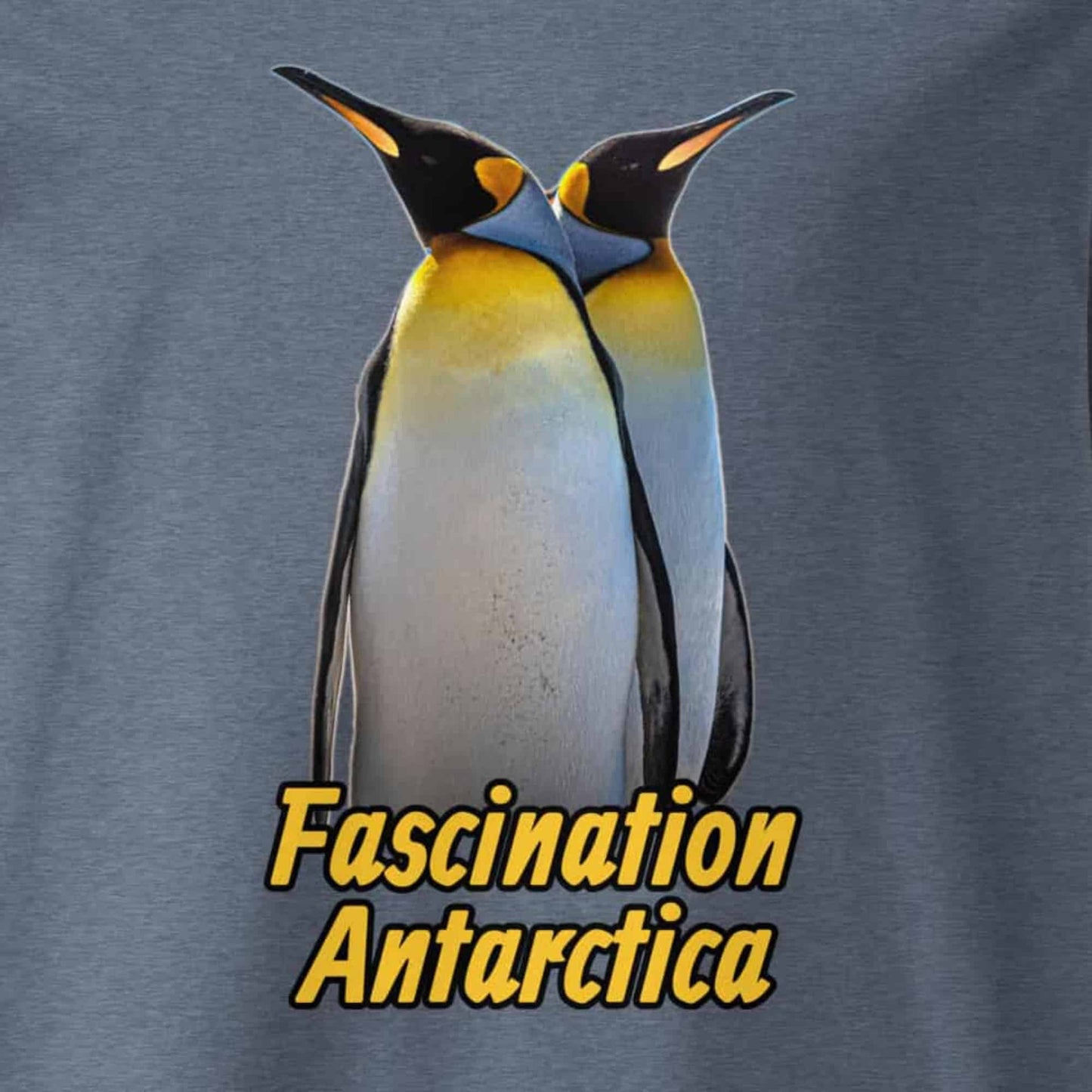 Motivansicht eines Herren T-Shirts mit Fotodruck zweier King Penguins - in der Farbe Dark Heather Blue Grau-Blau