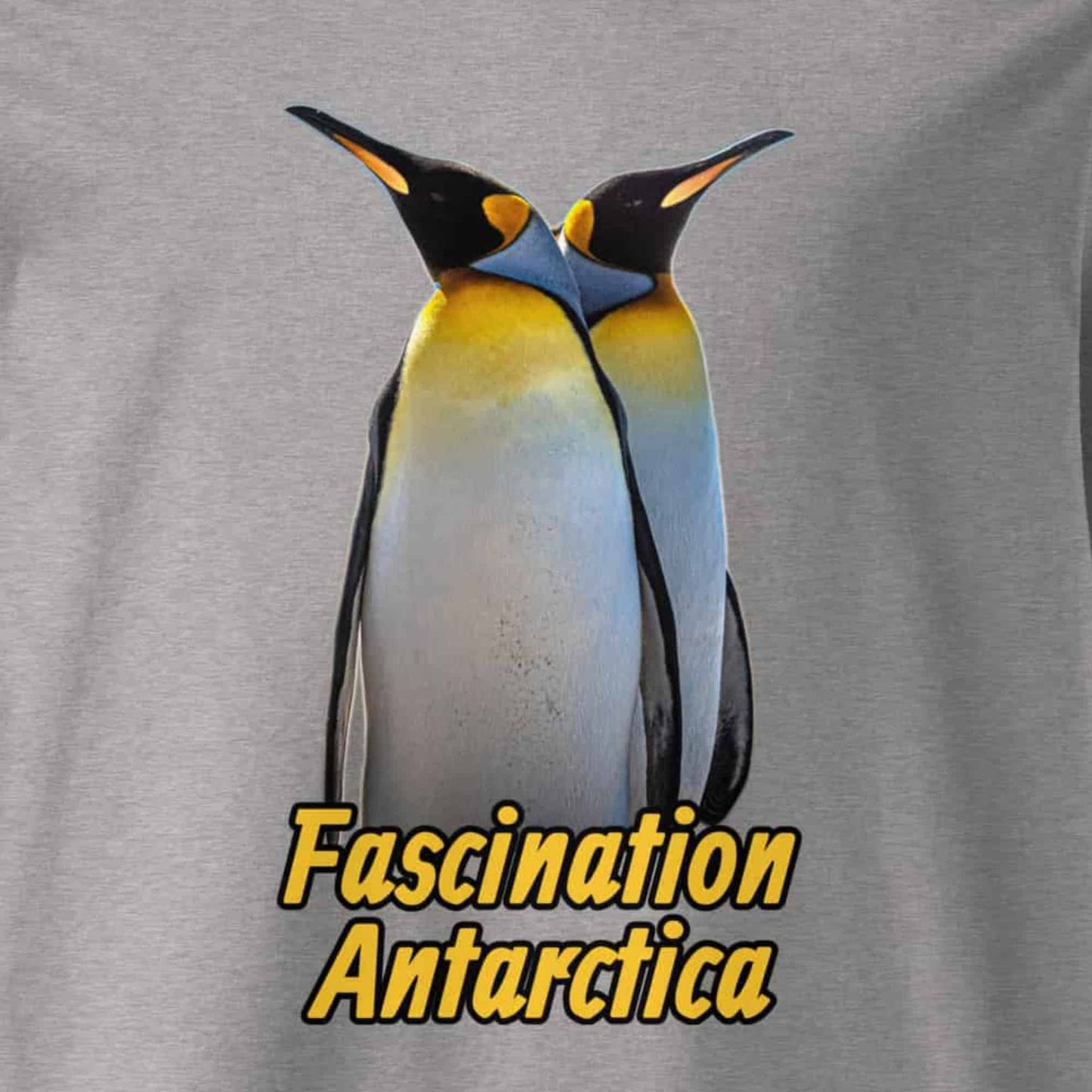 Motivansicht eines Herren T-Shirts mit Fotodruck zweier King Penguins - in der Farbe Heather Grey Grau